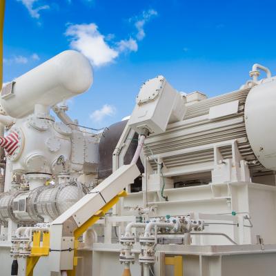 Large White Motor