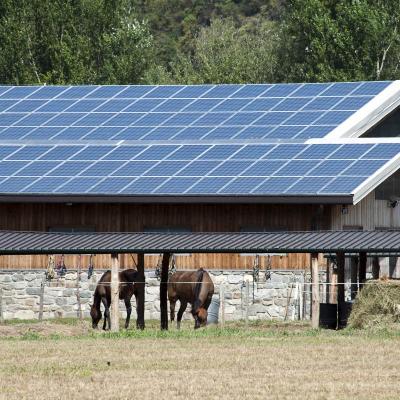 Rural Solar With Horses